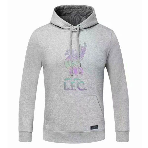 Sudaderas Con Capucha Liverpool 2020 2021 Gris